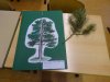 Klasse-2a-DSC05560